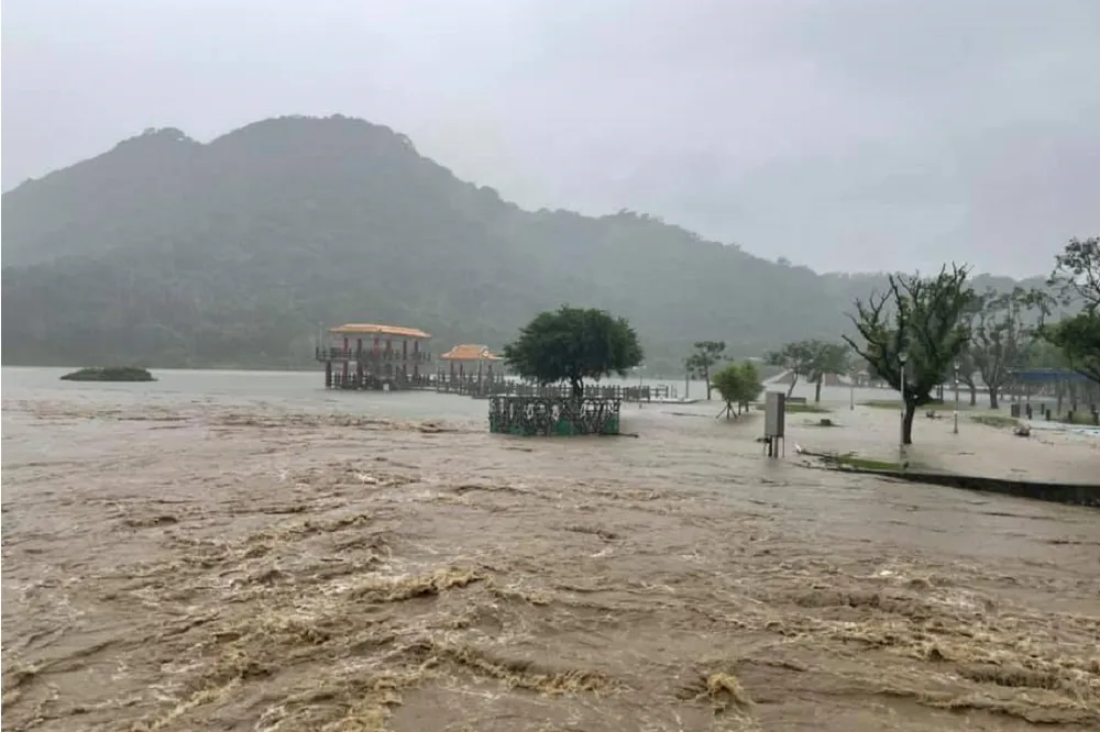 【暴雨炸雙北】大湖公園池子快「滿出來」　網友：要扛住啊！