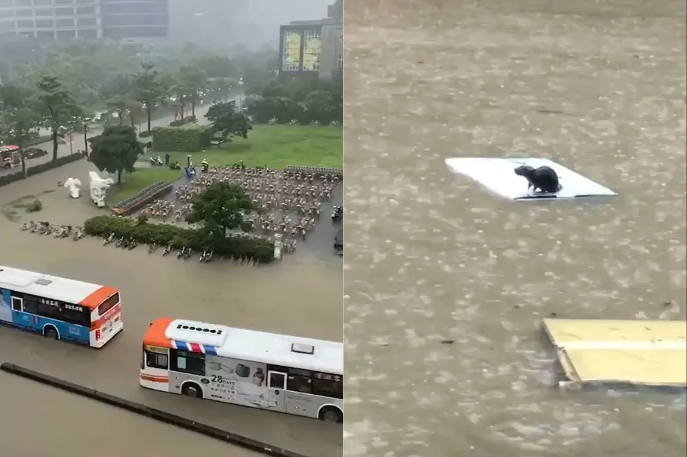 不認「海綿城市」破功　柯文哲：時雨量飆129mm，水退很快了