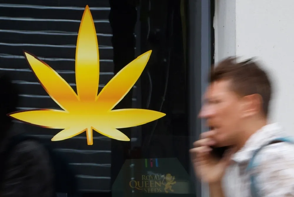 大麻合法與否　將成為德國下屆議會選舉「重要議題」
