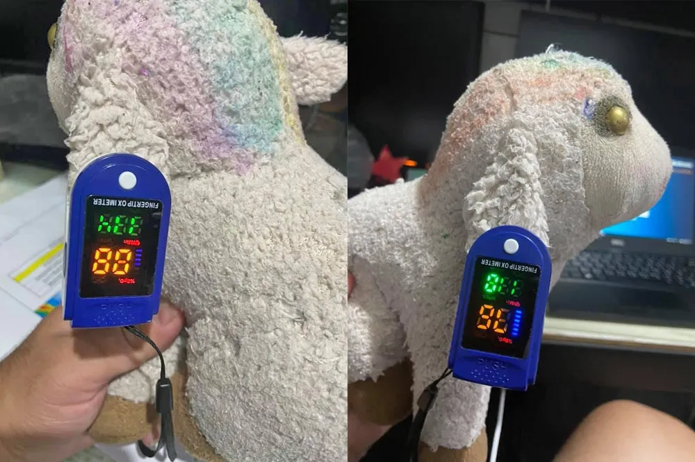 血氧機夾布偶竟有心跳？　醫師教你3招辨機器真偽