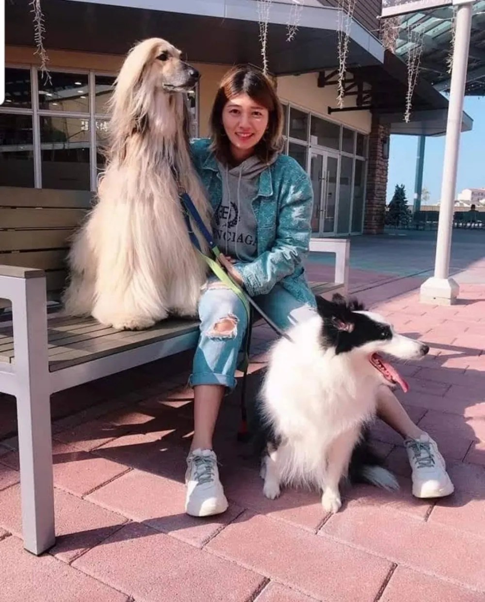 貓狗好療癒 七年級生創業 Uni有你寵物美學沙龍 融入生活美學