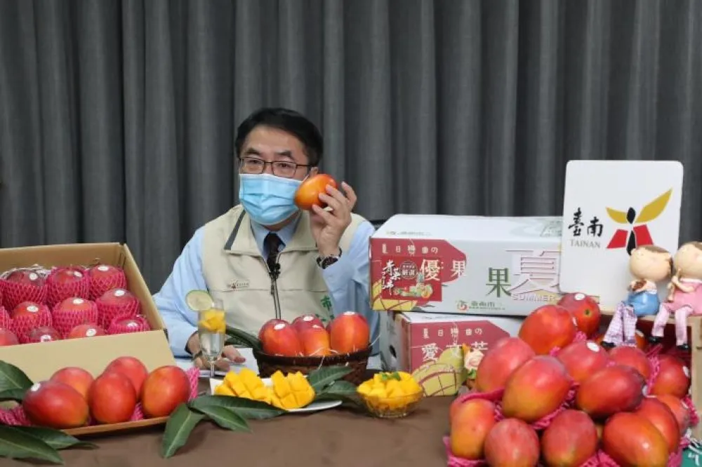 黃偉哲再上電視幫「芒」賣             30分鐘創2.2公噸佳績