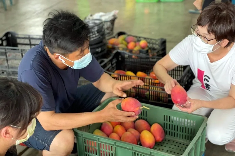「可笑的微解封」　蔡壁如轟：台灣須靠民眾自律自救是政府之恥