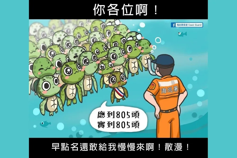 小琉球海龜暴增達805隻「小心碰瓷」　網友笑：自己的保育費自己賺