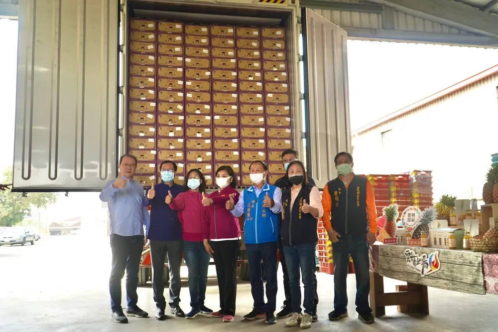 【保障農民收益】雲林媒合鳳梨433公噸　多元管道行銷與加工穩定價格