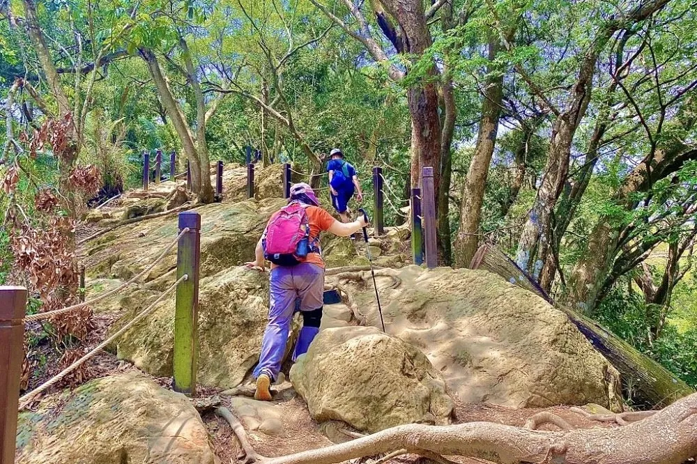 台中大坑登山步道2旅客遭雷擊　消防員急上山救援