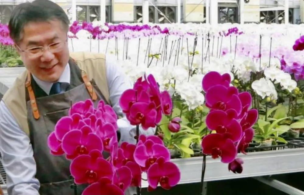 台南蘭花美名傳千里         美國哥倫布市姐妹市園藝特展亮相