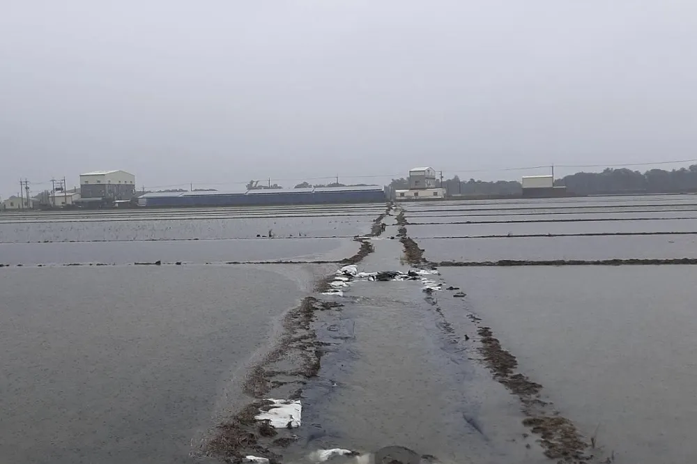 西南氣流豪雨釀災　雲林縣農損872萬