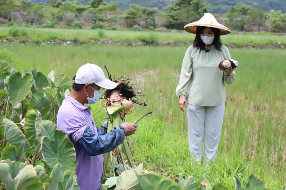 秧悦美地洒店 聯手知名營養師開發養生料理 疫後花蓮安心遊 膳食料理放心吃