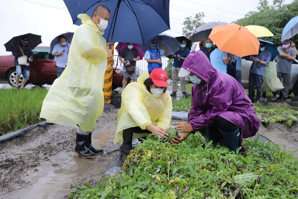 【瓜田變水田】雲林縣大埤、台西、四湖等地農損近4千萬　縣長張麗善到場勘查