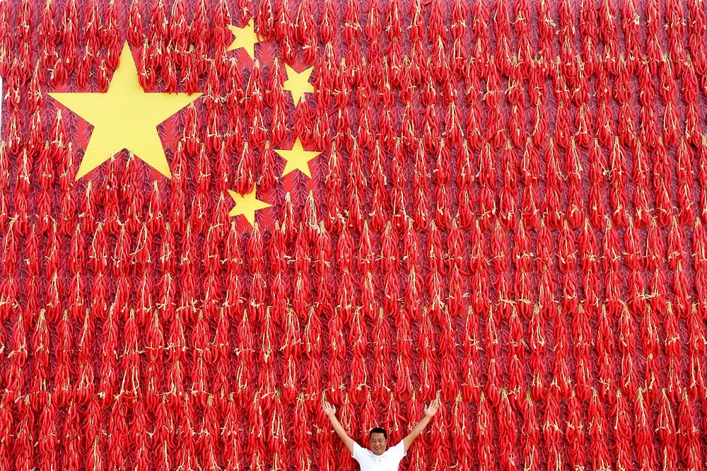 小粉紅是種帶著詛咒的喪屍病毒