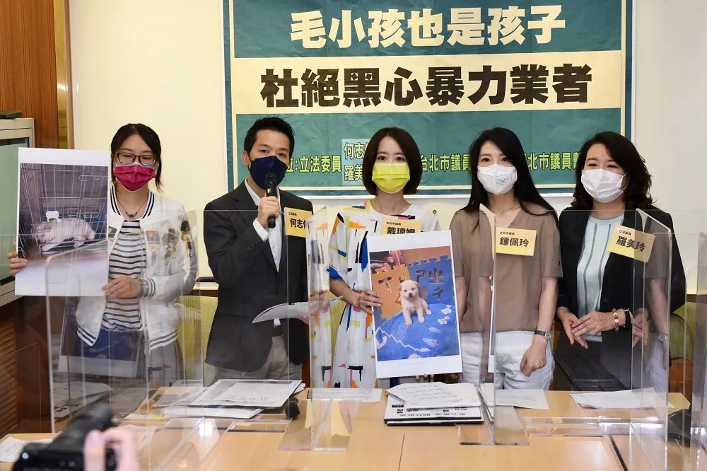 新北驚爆黑心寵物產業鏈　綠委斥「沒黑心通路就沒狠心殺害」