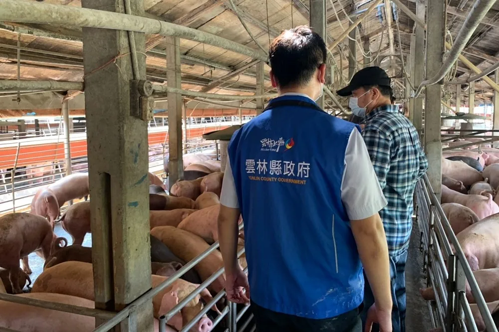 【非洲豬瘟襲台】守護民眾吃滷肉飯權利　雲林稽查8成豬場結果出爐