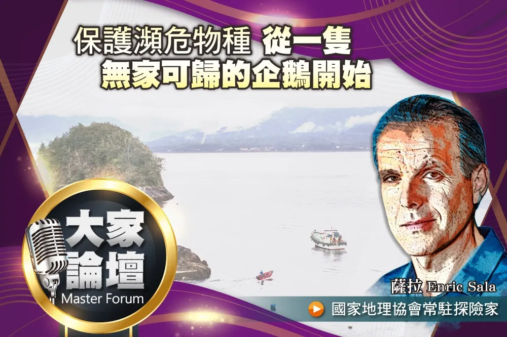 《大家論壇》滅絕視角：保護瀕危物種     從一隻無家可歸的企鵝開始