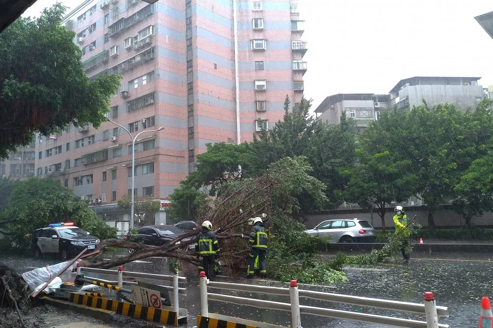 【災情破百件】「璨樹」殺到！中橫山崩緊急關閉便道　北市信義區路樹倒