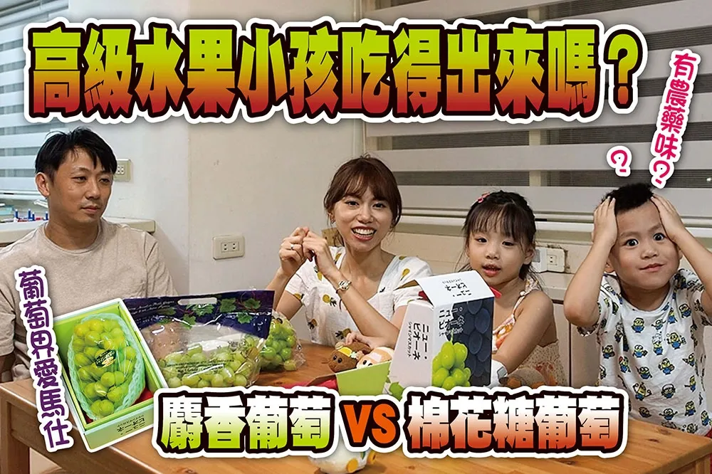 【你跟上了沒】日本晴王麝香葡萄怎麼挑？一串 1500 元的高級葡萄真的吃得出來嗎？