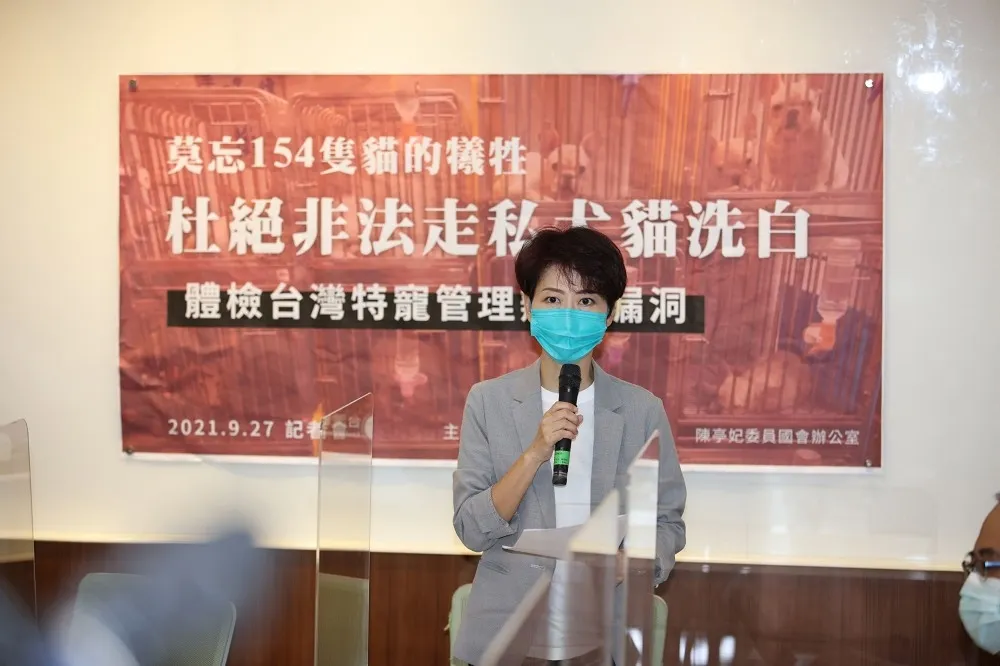 莫忘154隻貓的犧牲！　民團、陳亭妃點出寵物業管理嚴重漏洞