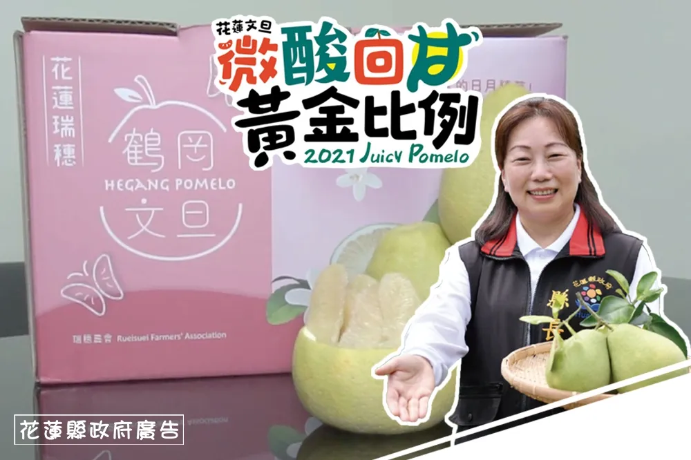 【開箱片】把握最後訂購期！　花蓮文旦柚肉汁甜美富黃金微酸感