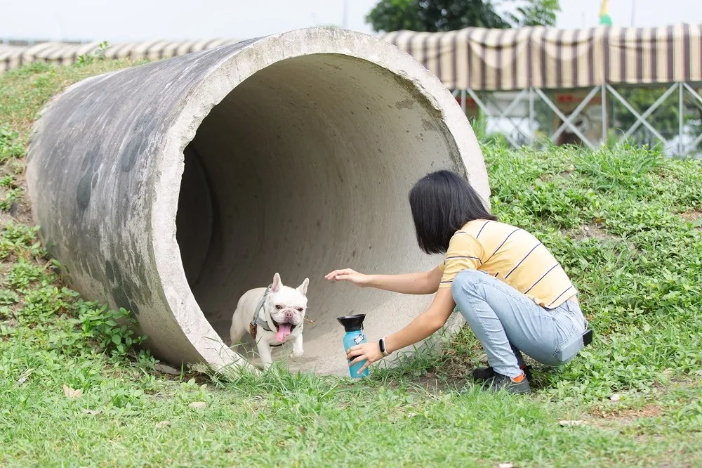 五星縣長潘孟安臉書發文踩地雷　挖眼案後發寵物文遭酸：人命不如狗命