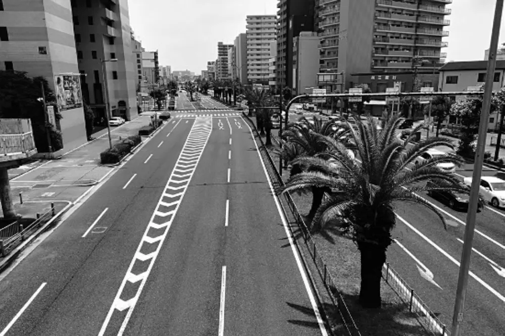 日本幾個城市都有一條「不死鳥路」　路名從何而來？