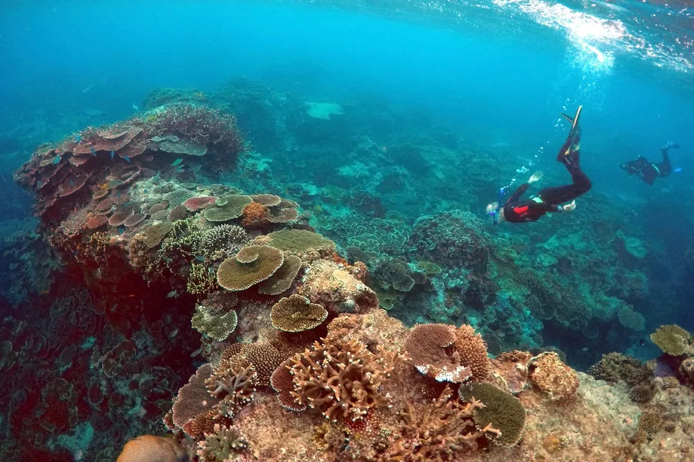 氣候變遷釀海平面上升　我友邦馬紹爾群島恐遇滅國危機
