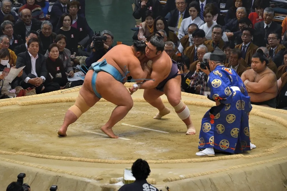 就是愛看胖子打架！「相撲」為什麼會成為日本的國技？