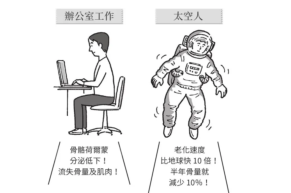 上班族久坐易造成骨質疏鬆！日本骨科名醫：想避免骨量減少可以這麼做
