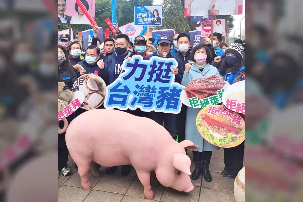  【公投交鋒】開放萊牛卻反萊豬？　馬英九回擊：民進黨推翻「牛豬分離」共識