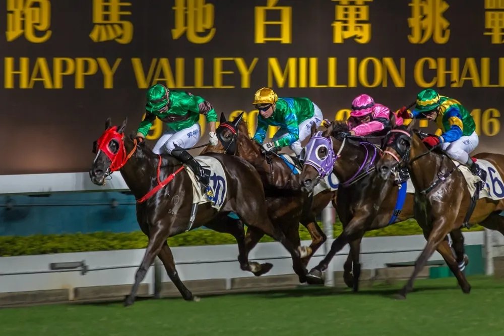 當地民眾最愛的賭博活動！香港為什麼會流行賽馬？