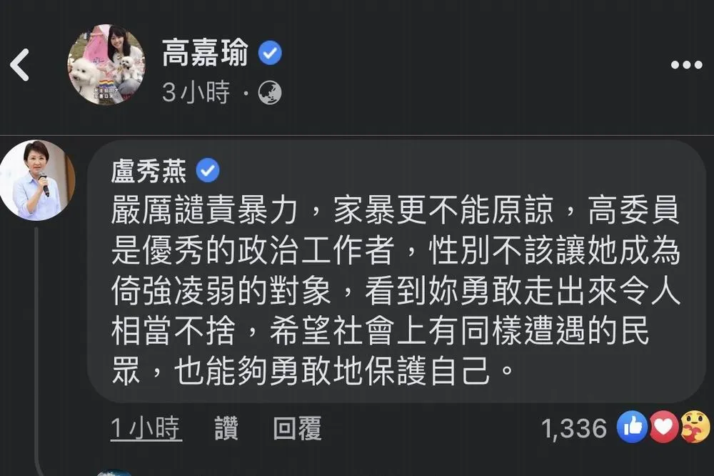 立委高嘉瑜驚爆遭男友家暴　盧秀燕市長表達不捨並譴責暴力