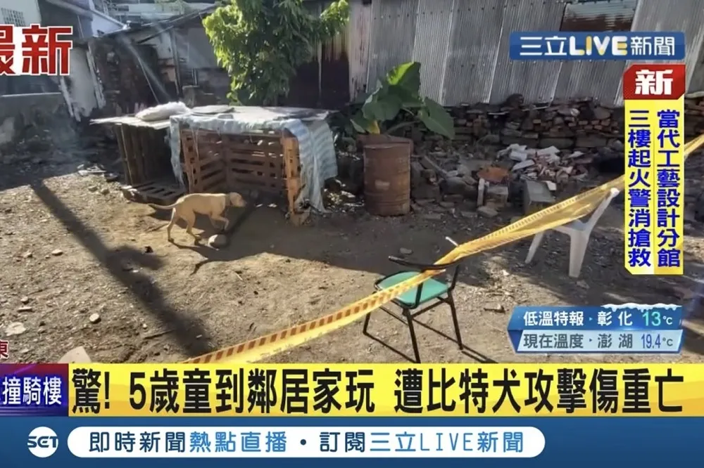 屏東5歲童偷溜鄰居家玩　竟遭比特犬緊抓腹、頸活活咬死