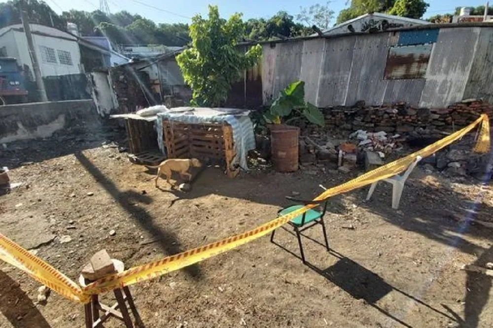 比特犬咬死男童恐遭人道毀滅挨批　潘孟安息眾怒：人與動物都要保護