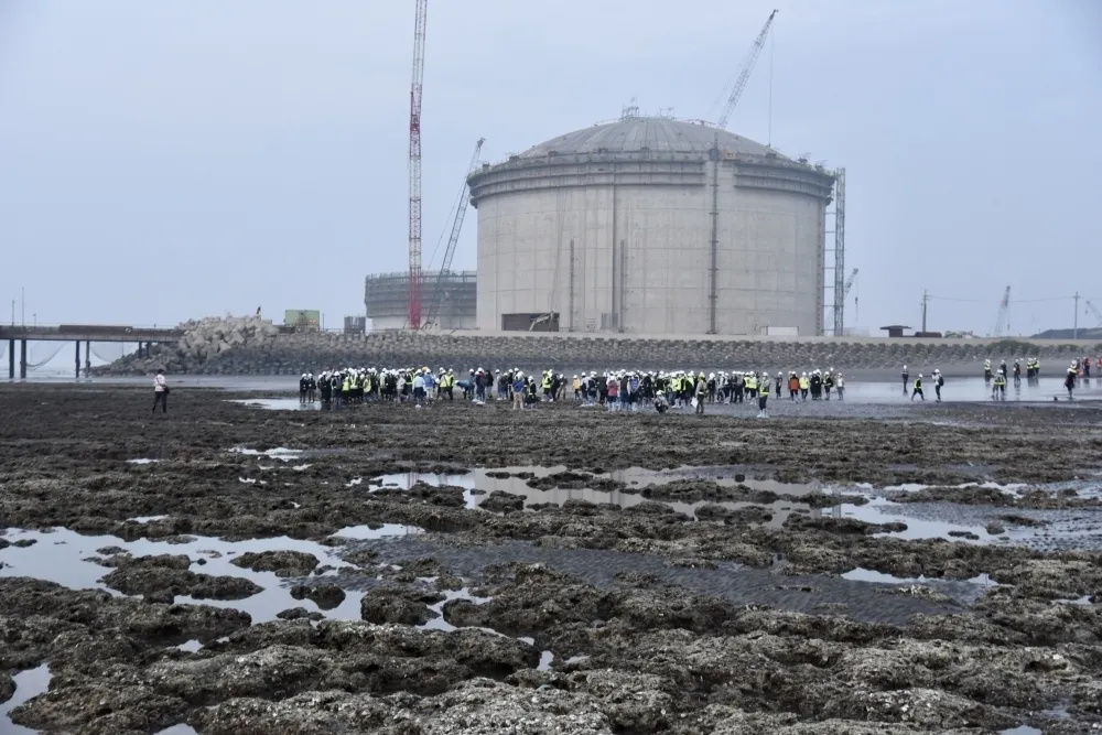 【三接公投】台積電憂國內供電問題　王美花：照政府規畫不會缺電