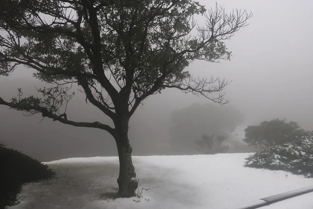 最低溫驟降至10度！聖誕假期有望上山賞雪　吳德榮曝最佳時機