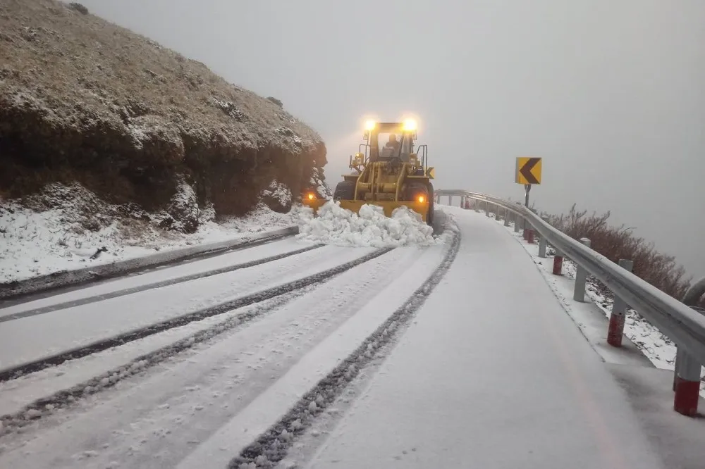 寒流發威！翠峰至大禹嶺「只出不進」　用路人上山追雪務必掛雪鏈