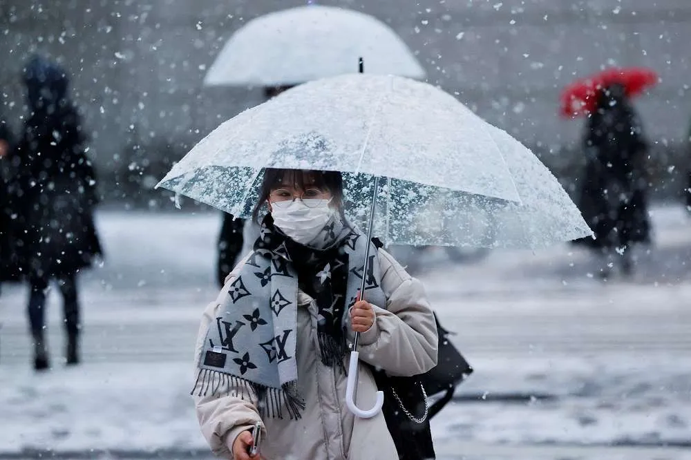 【積雪10公分】東京四年來首度發布大雪警報　破百航班取消近萬人受到影響