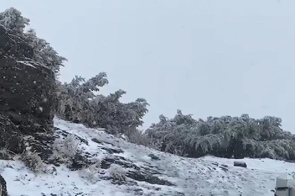 2022初雪！玉山、合歡山、雪霸現雪白美景　吳德榮再曝：11日強冷空氣來襲