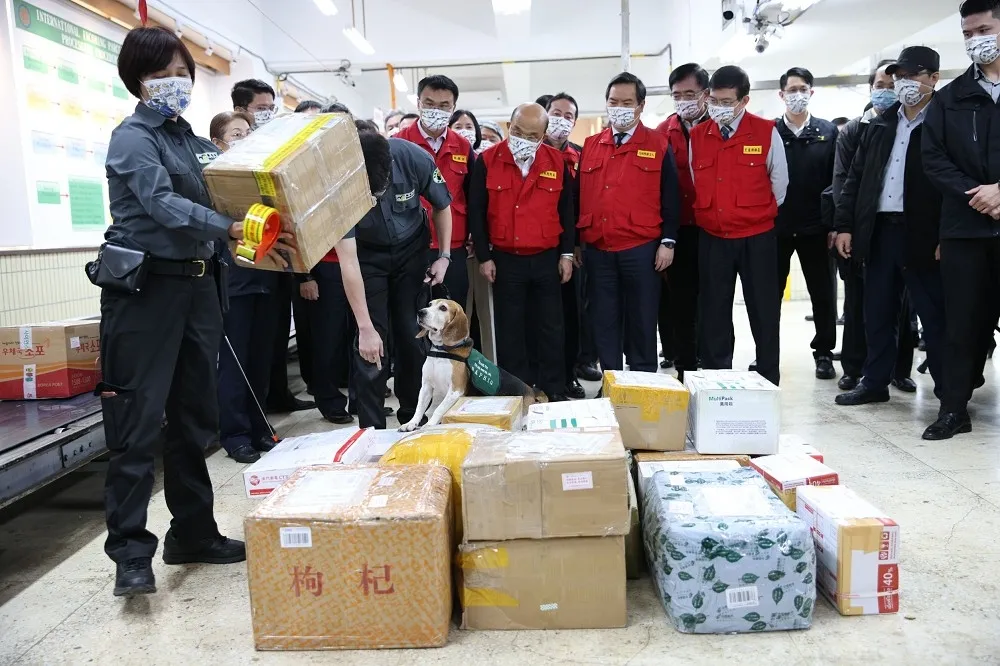 國際包裹入台肉製品驗出非洲豬瘟　蘇貞昌下令重罰究責