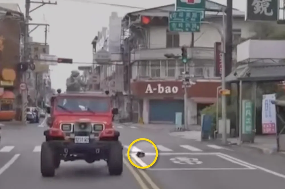 【慘跌片】陳柏惟慘摔車！陪林靜儀謝票「仰倒」墜地　頭血腫擦傷急送醫