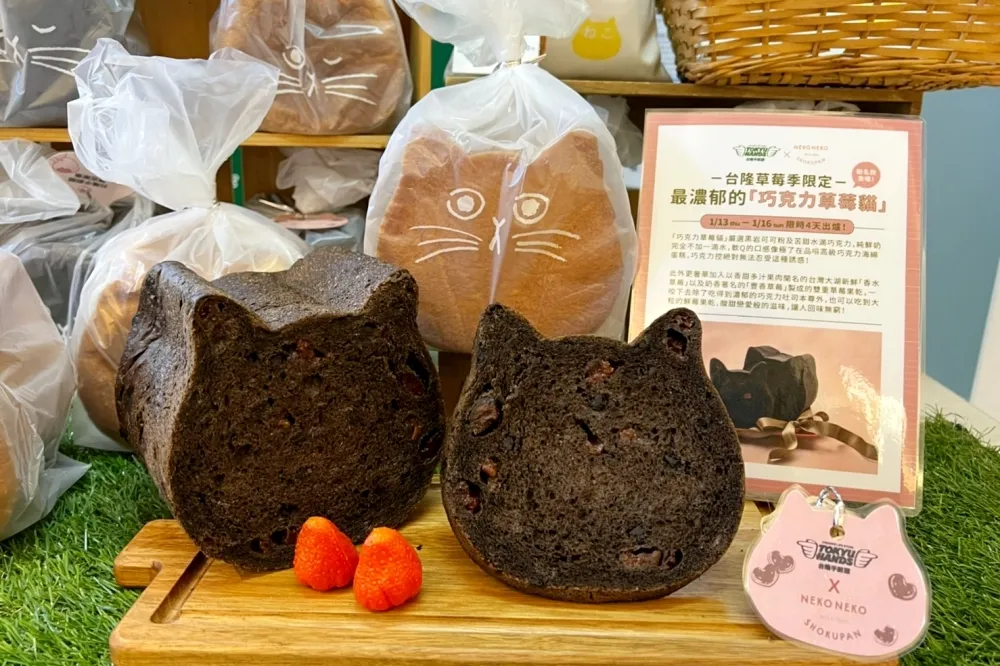 1/16 前限量販售！台隆手創館獨家聯名貓咪吐司推出「巧克力草莓貓」