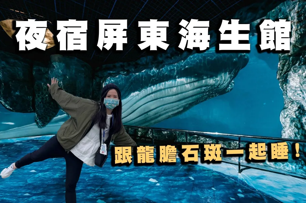 【你跟上了沒】跟龍膽石斑一起睡！屏東海生館推出「極境漫遊 66.5 度」新體驗