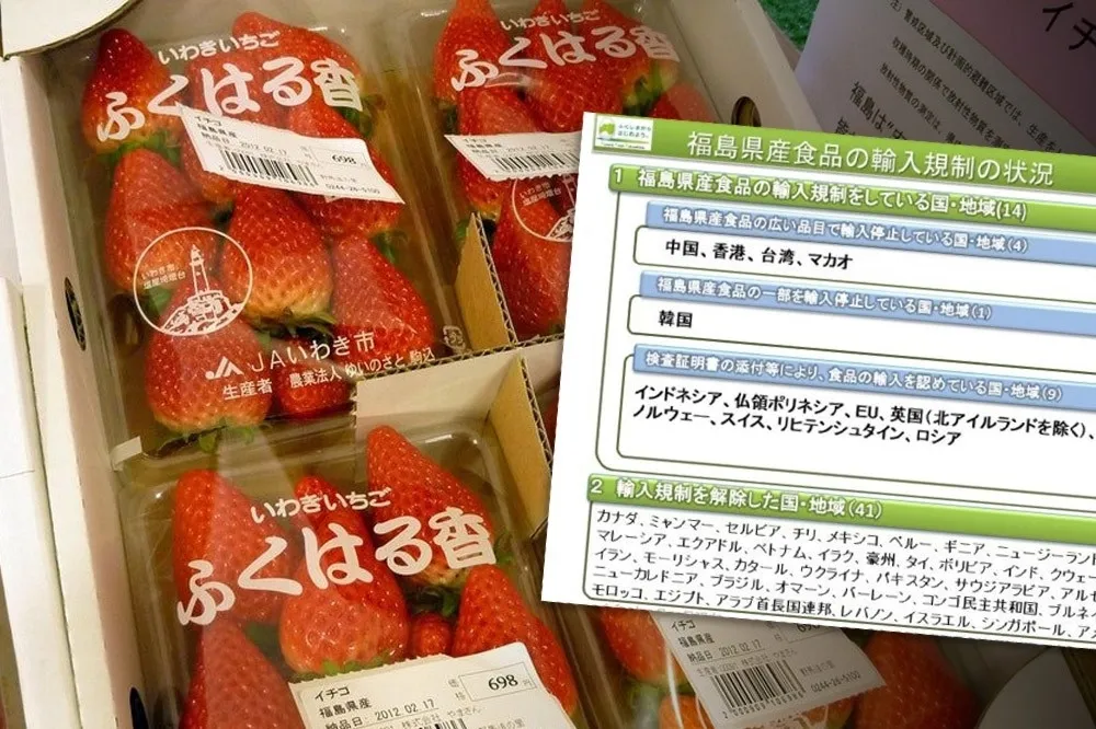 李淳：鬆綁福島五縣食品  是要鬆綁台灣的未來