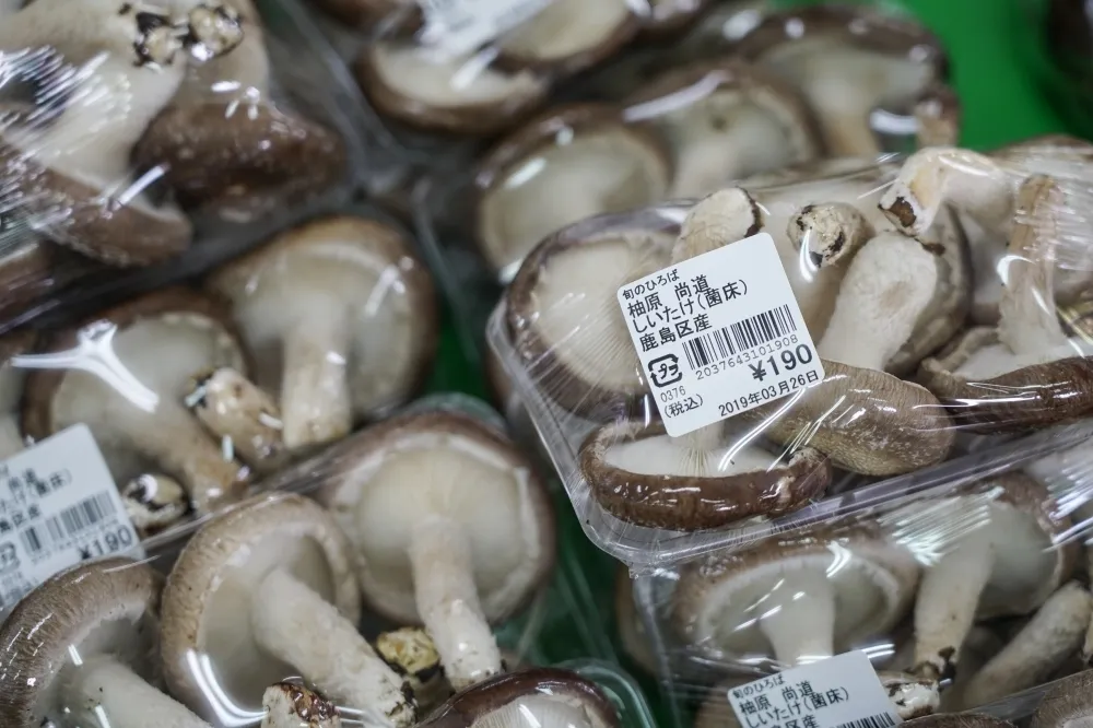 【福島食品解禁】野生鳥獸肉等3類仍不開放　進口品項須附雙證、逐批檢驗