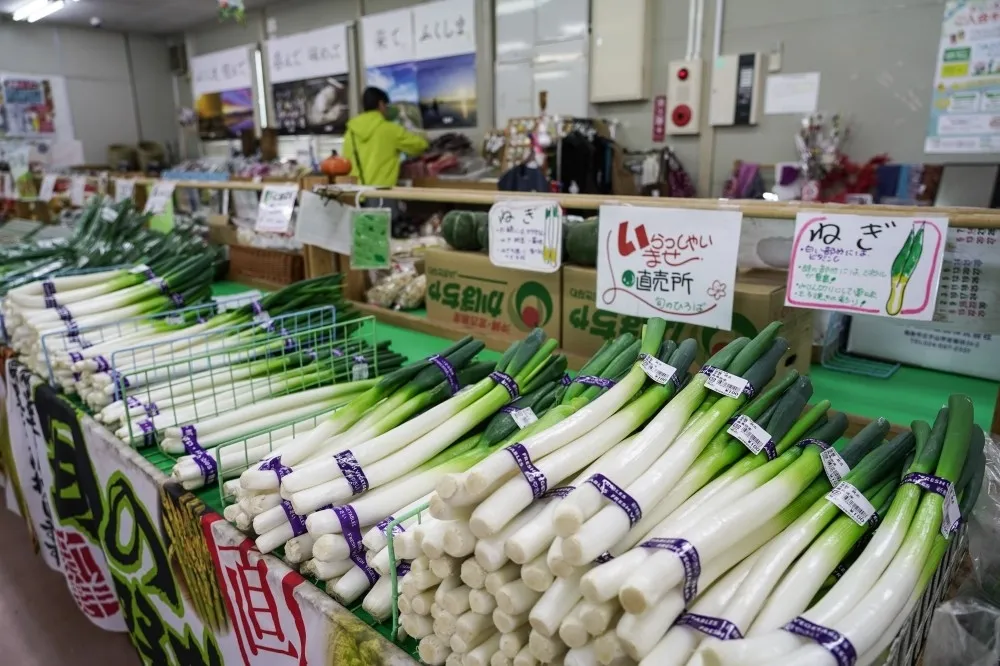 蔡政府開放福島食品是聽馬英九的話？　馬辦駁應尊重民意「再公投一次」