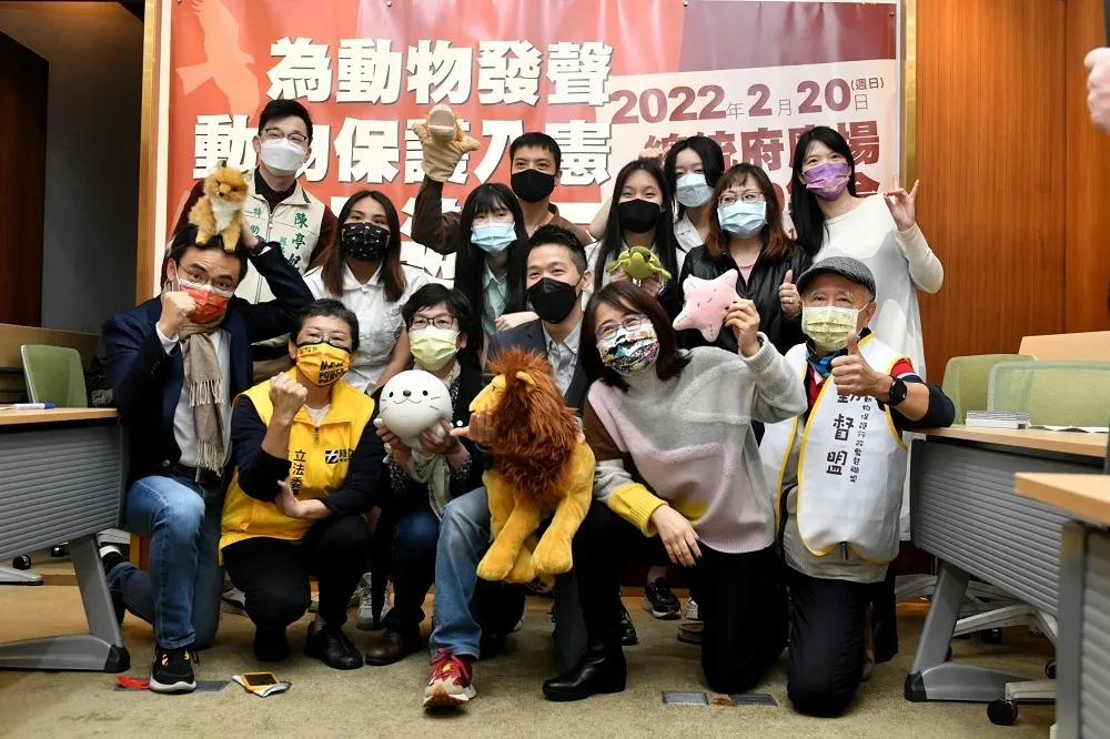 男逆向撞狗只因「看不順眼」！隔日再拿磚砸流浪貓　鄰居爆氣舉發