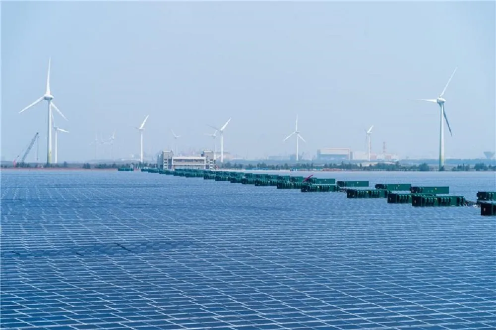虎虎生風！台電陸域風力累計發電量達100億度