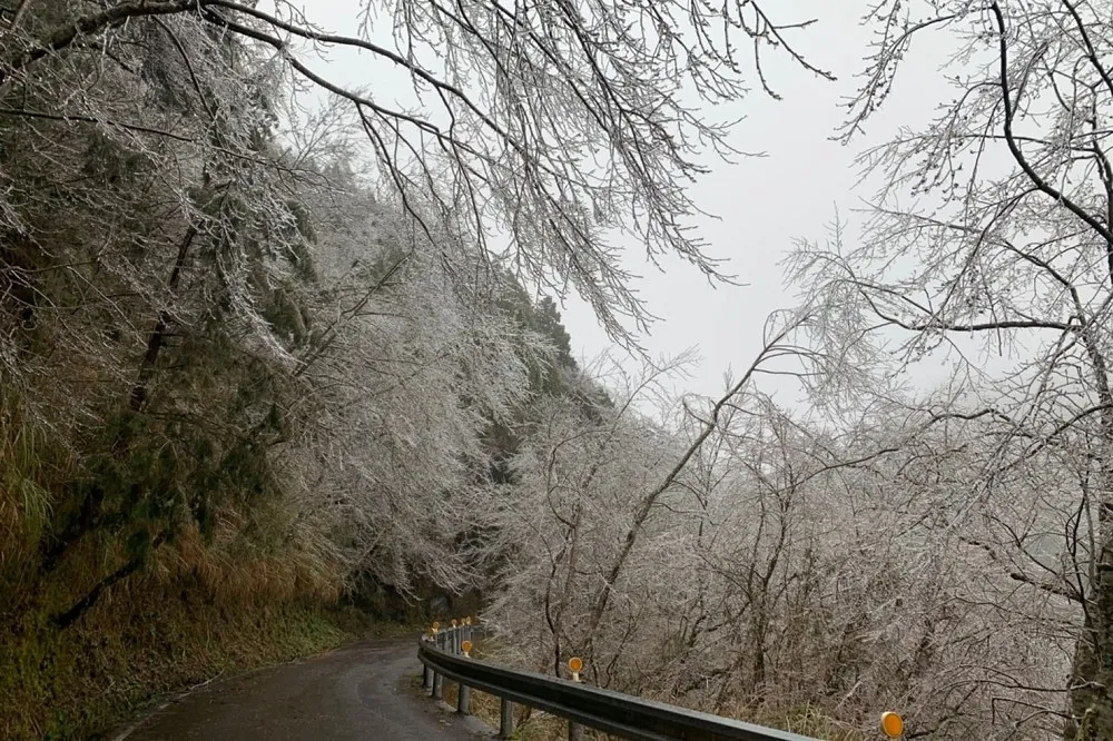 【最強寒流發威】睽違18年！馬祖2.7°C下冰霰　太平山冰柱霧淞如仙境