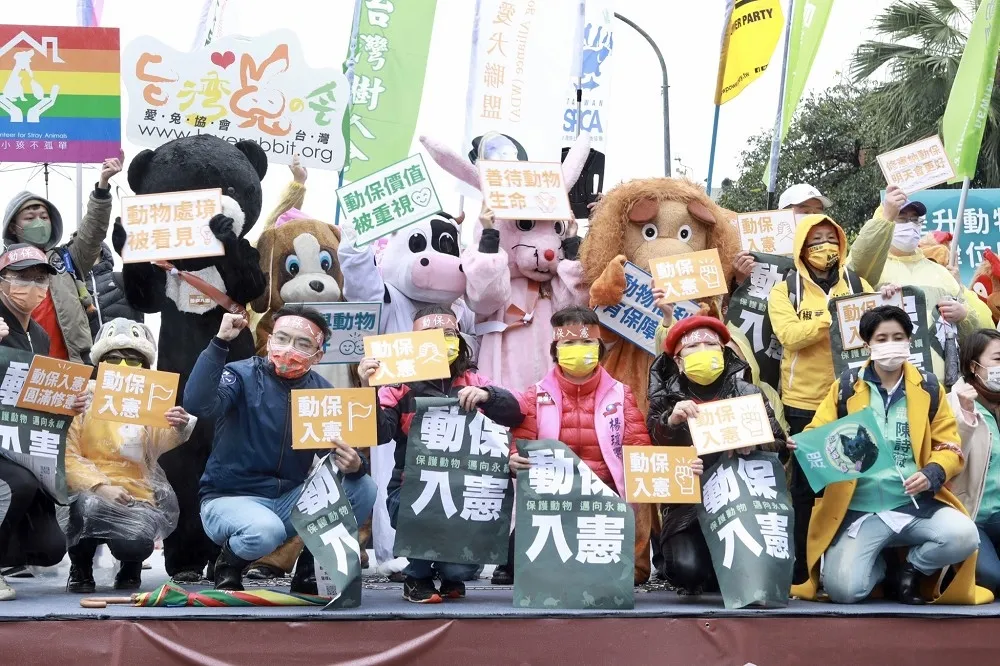 【圖輯】斷開鎖鏈！千人冒雨上街吶喊「動保要入憲」　熊兔狗獅演行動劇諷遭虐