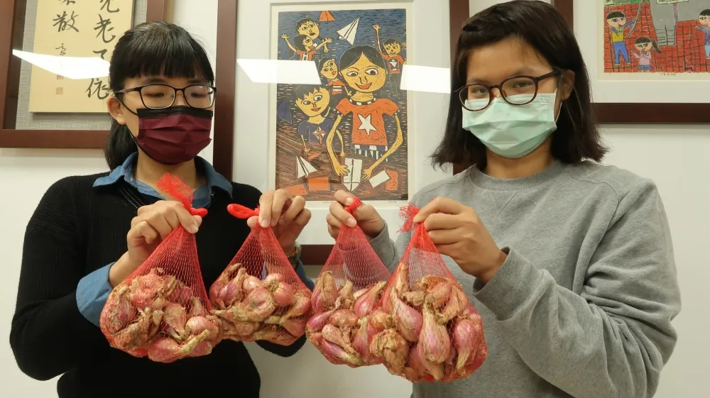 用行動支持農民  黃偉哲認購1200斤紅蔥頭為學童午餐添加美味