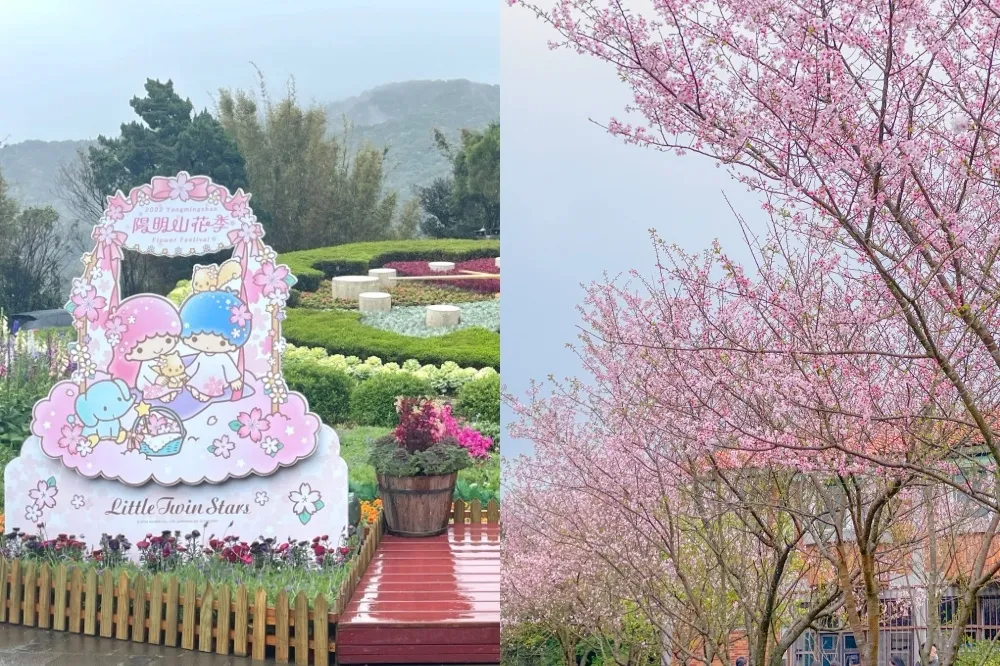 【2022 陽明山花季】時間、交通管制懶人包！三麗鷗雙星仙子打卡點必拍　櫻花、杜鵑、水仙花絕美綻放